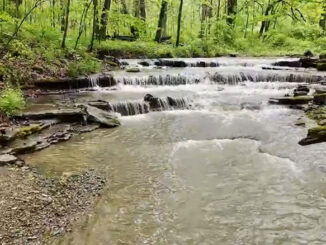 Red-Tail Land Conservancy recently purchased 39 acres of land along Boston Creek in Wayne County which is now named Buskirk Falls Preserve. Photo provided.