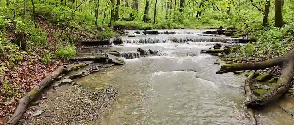 Red-Tail Land Conservancy recently purchased 39 acres of land along Boston Creek in Wayne County which is now named Buskirk Falls Preserve. Photo provided.