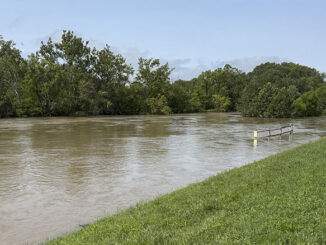 White River near the Payless Supermarket plaza off of S. Tillotson Ave. Photo by Mike Rhodes